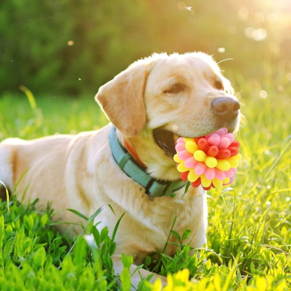 BotaniNest Heavy Duty Spiky Chew For Aggressive Chewers With Cleaning Bumps And Textured For Chewing Exercise