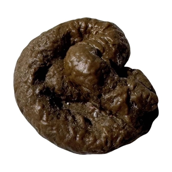 BotaniNest Hilarious Novelty For And Pranks Funny For Parties And Jokes Unforgettable Laughter With This Unique For All Ages