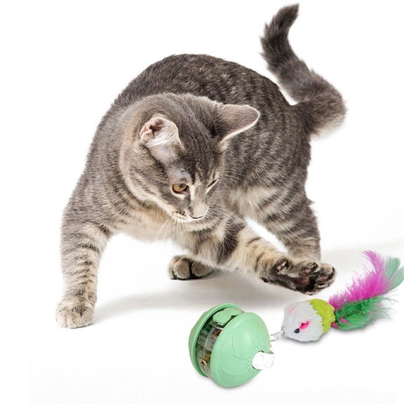 BotaniNest Interactive Cat Toy With Voice Alert Lost Infrared Feather Head Detachable Design For Indoor Outdoor Play