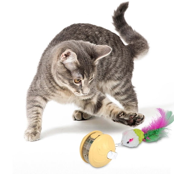 BotaniNest Interactive Cat Toy With Voice Alert Lost Infrared Feather Head Detachable Design For Indoor Outdoor Play