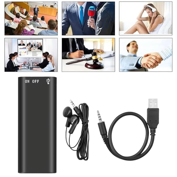 BotaniNest Recording Pen Noise Reduction Meeting Record One Key Recording Power Off Automatic Recording Pen