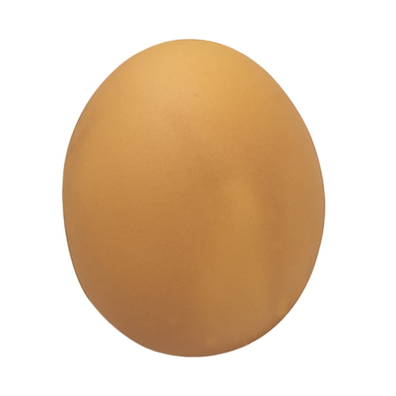 BotaniNest Squeaky Dog Eggs Ball Vinyl Dog Toys Soft Interactive Catch Play Ball Simulation Eggs Squeaky Toys