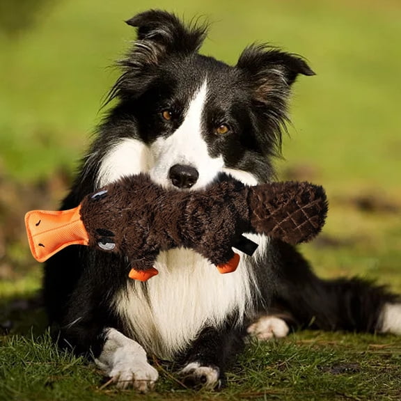 BotaniNest The Simulation Will Call The Dog Toy To Make A Sound. The Self Hi Interactive Ke Foundation Large Dog.