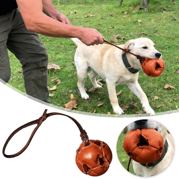 BotaniNest Training Chew For Puppies And Large Red Sturdy Interactive Training