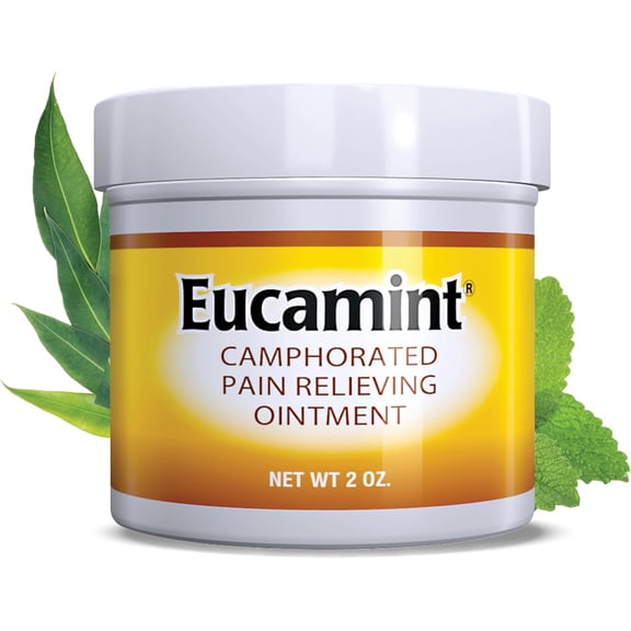 Botanic Choice Eucamint® Pain Relief Ointment, 2 oz