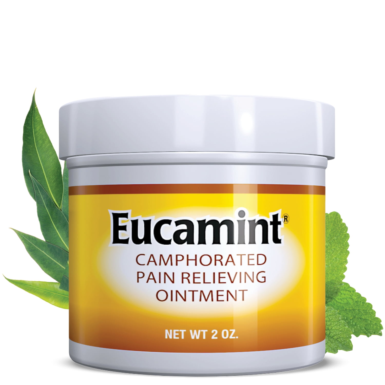 Botanic Choice Eucamint&reg Pain Relief Ointment, 2 oz