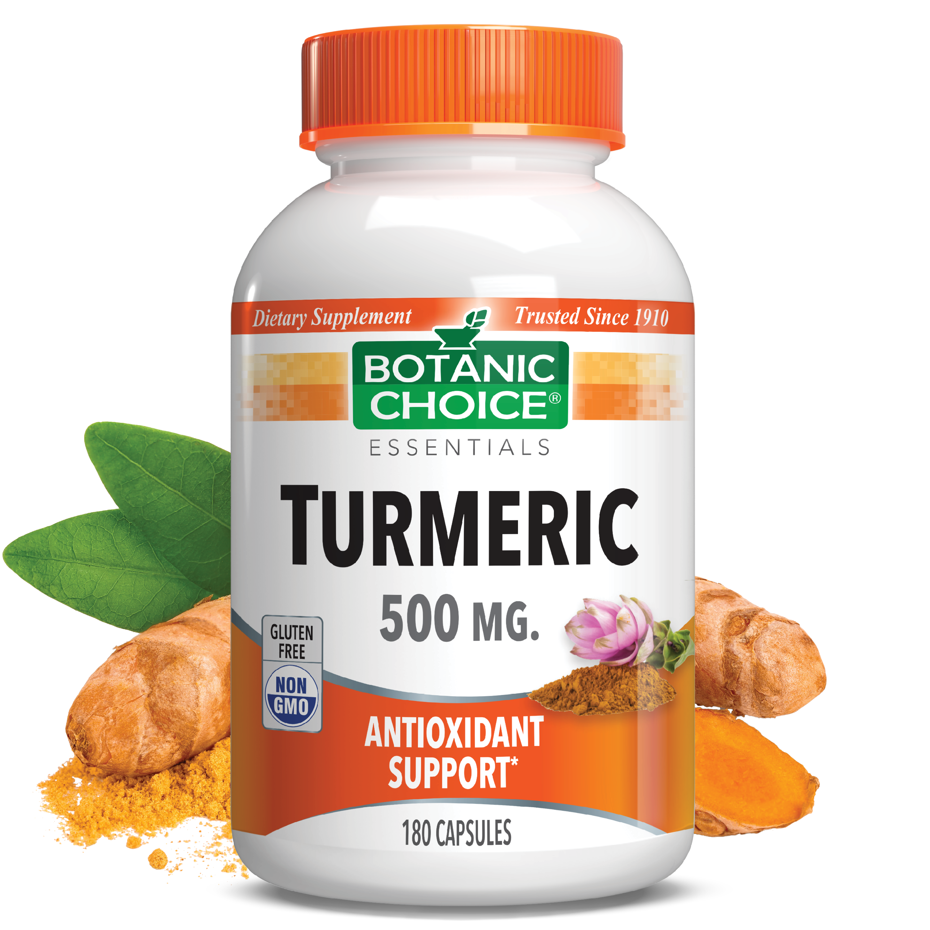Botanic Choice Turmeric Supplement 500 Mg Capsules, 180 Ct