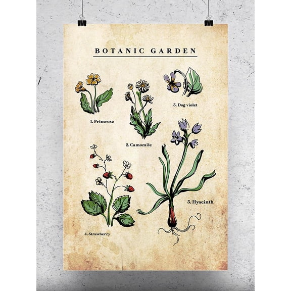 Botanic Garden Art Poster - Smartprints Designs,
