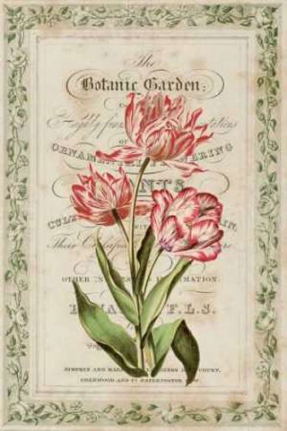 Botanic Garden Canvas Art - Zachary Alexander (24 x 36)