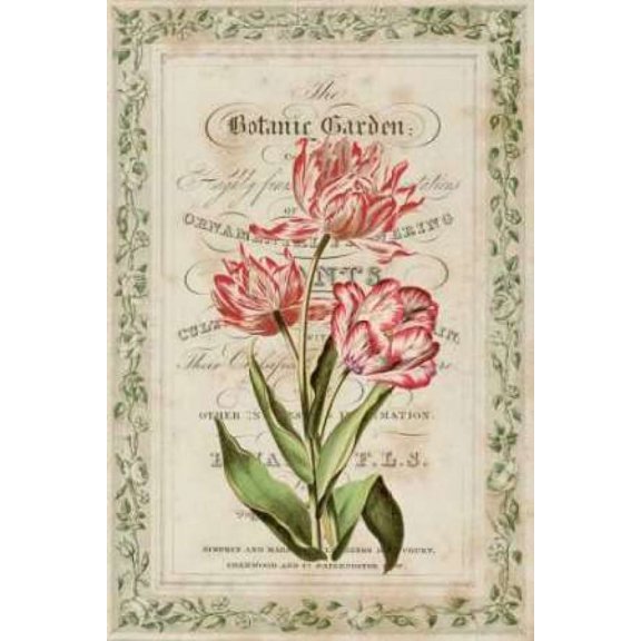 Botanic Garden Poster Print by Zachary Alexander (24 x 36)