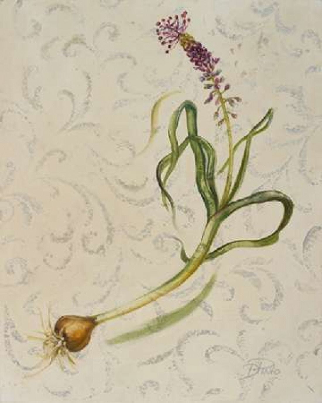 Botanica IV Canvas Art - Patricia Pinto (24 x 30)