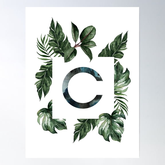 Botanical Alphabet C- Vintage Wall Arttrendy Retro Print Room Decor Wall Art , Poster Only