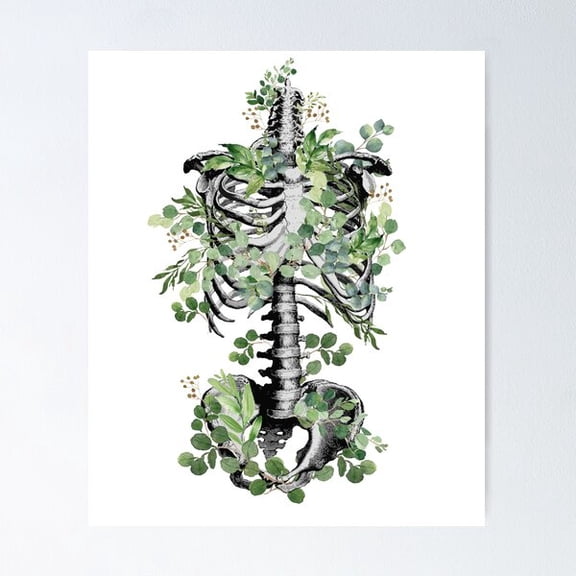 Botanical Anatomy Rib Cage Pelvis Eucalyptus Leaves Floral Skeleton Poster, Poster Only