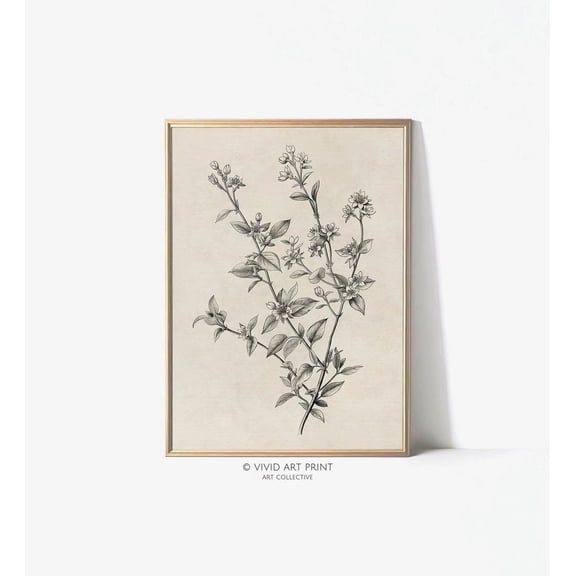 Botanical Antique Drawing Art "Floral Elegy" Minimal Flower Sketch Wall Art Decor, Vivid Art Print Ps1-01 Wall Art, Modern Wall Decor, 8x12 UNFRAMED