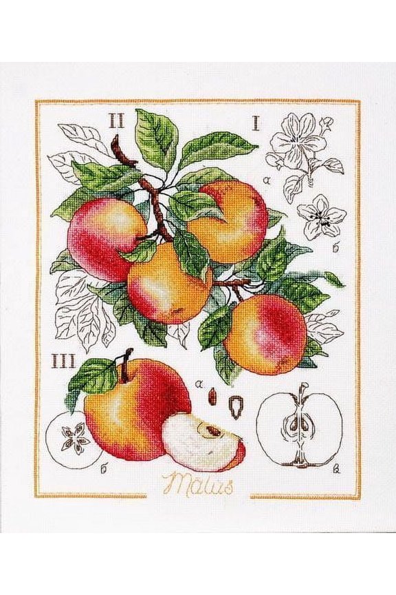 Counted Cross Stitch kit - Botanical Battle - Apple 1261A Alisena