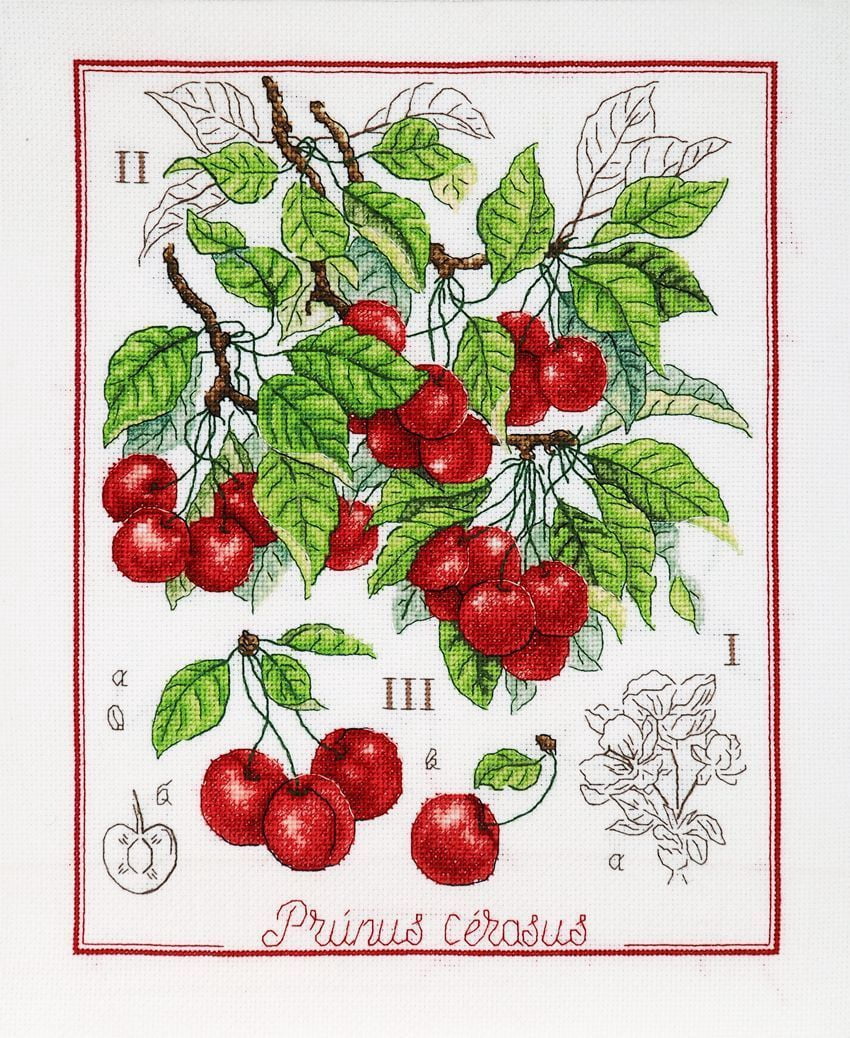 Botanical Battle - Cherry Counted cross stitch kit 1274A