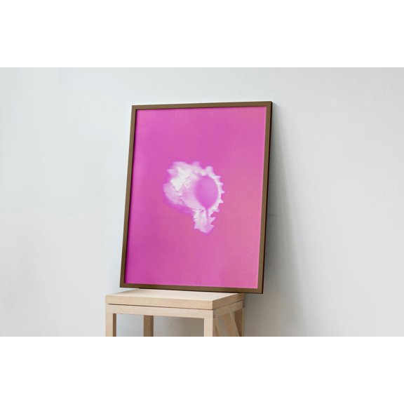 Botanical Bloom Murex II Saturated Shell Coastal Art Poster , Poster Print Only