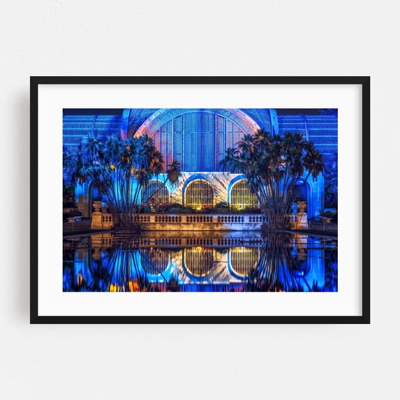 Botanical Blues - San Diego California Photography Black Framed Wall Art Print 16 x 24 inches