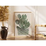 Botanical Cactus Line Ink Drawing Poster , Poster Print Only - Walmart.com