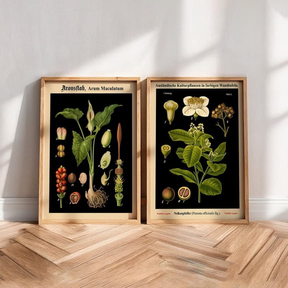 Botanical Chart Prints German Educational s, Set of 2, Poster Only