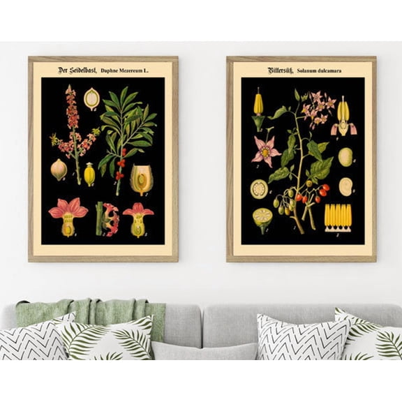 Botanical Charts Educational Botanical Charts Rare German Botanical Art Home Decor Office Wall Art Set 2 Set 2