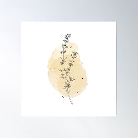 Botanical Collection - Thyme Poster Wall Art, Modern Wall Decor For Living Room Bedroom, 30x30 UNFRAMED
