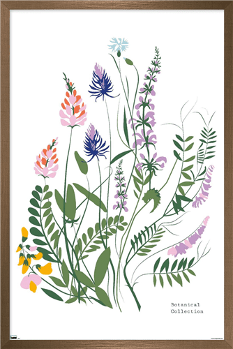 Botanical Collection - Wild Flowers Wall Poster, 14.725" x 22.375" Framed