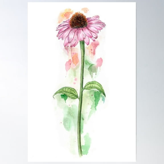 Botanical Coneflower Poster Wall Art, Modern Wall Decor For Living Room Bedroom, 8x12 UNFRAMED
