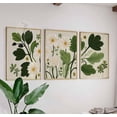 Curated visual reference: Botanical Daisy Green Floral Modern Home Decor Art Set 3 Photo Inspiration