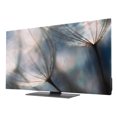 Botanical Dandelion TV Cover for 55 Inch Screen, Stretch Fabric ...