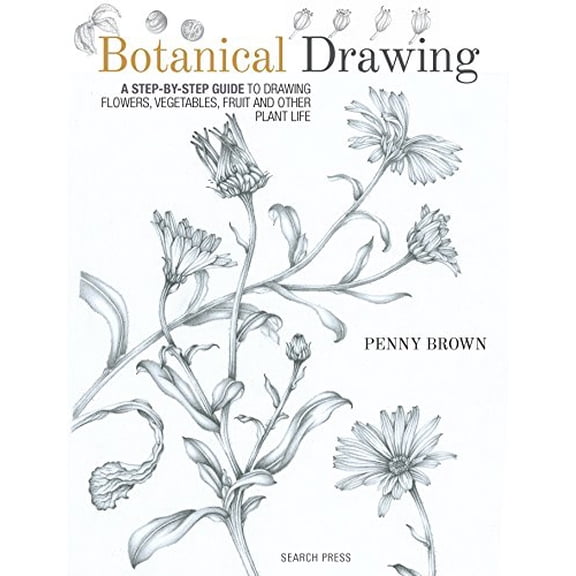 Pre-Owned Botanical Drawing: A Step-By-Step Guide to Drawing Flowers, Vegetables, Fruit and Other Plant Life (Paperback) 1782212604 9781782212607