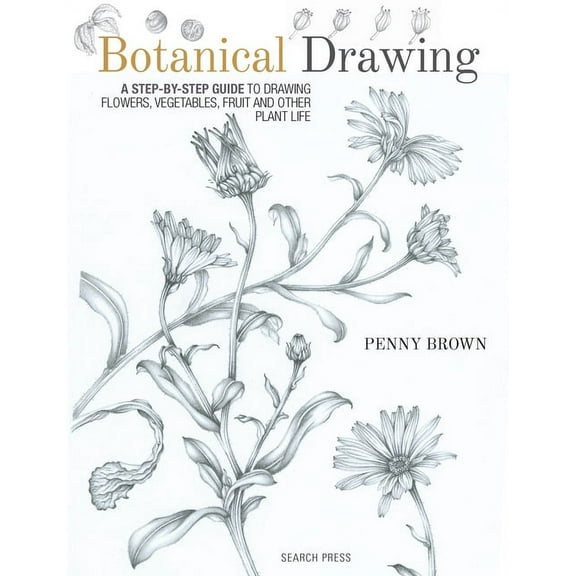 Botanical Drawing: A Step-By-Step Guide to Drawing Flowers, Vegetables, Fruit and Other Plant Life, (Paperback)
