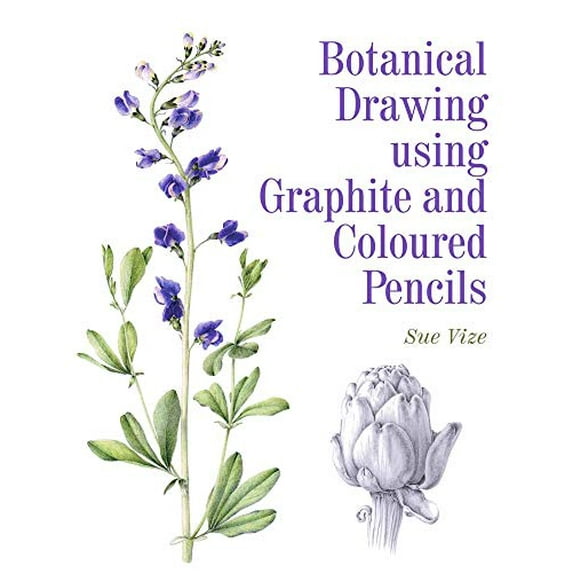 Pre-Owned Botanical Drawing using Graphite and Coloured Pencils, 9781785001598, 1785001590, Paperback,