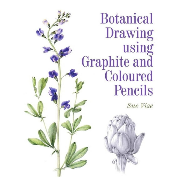 Botanical Drawing using Graphite and Coloured Pencils (Paperback)