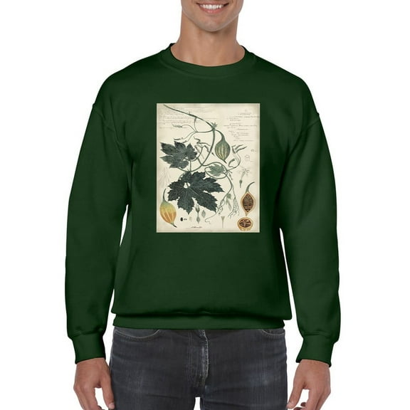 Botanical Drawings And Notes Sweatshirt Men -A. Descubes Designs, Male Medium