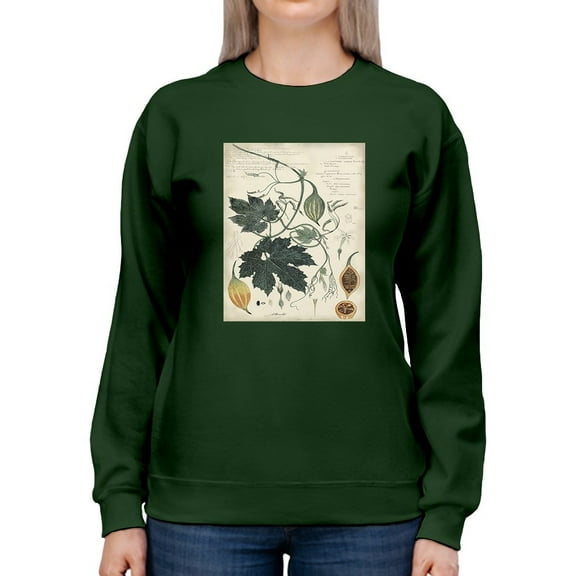 Botanical Drawings And Notes Sweatshirt Women -A. Descubes Designs, Female 3X-Large
