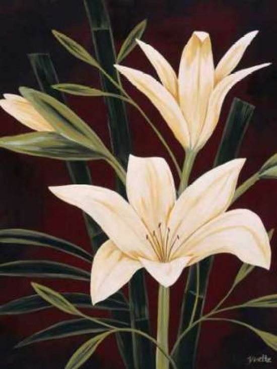 Botanical Elegance I Canvas Art - Yvette St Amant (18 x 24)