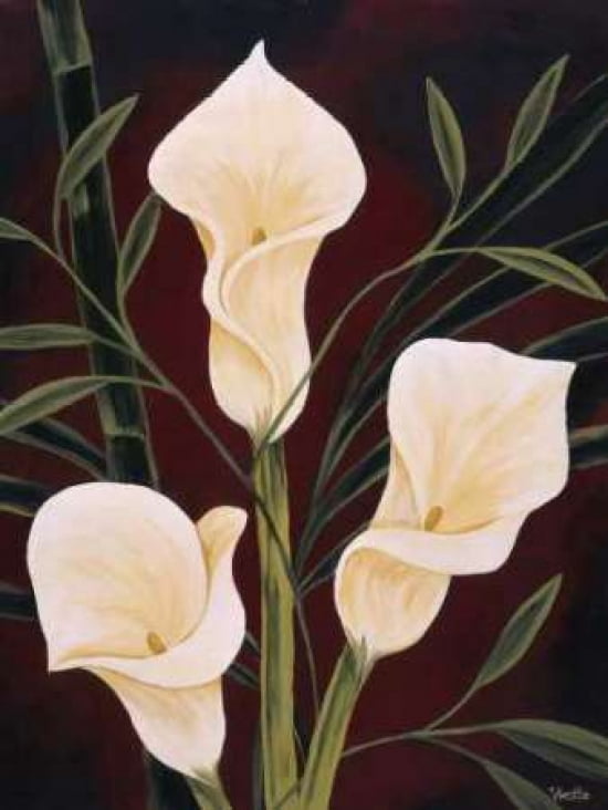Botanical Elegance II Canvas Art - Yvette St Amant (18 x 24)