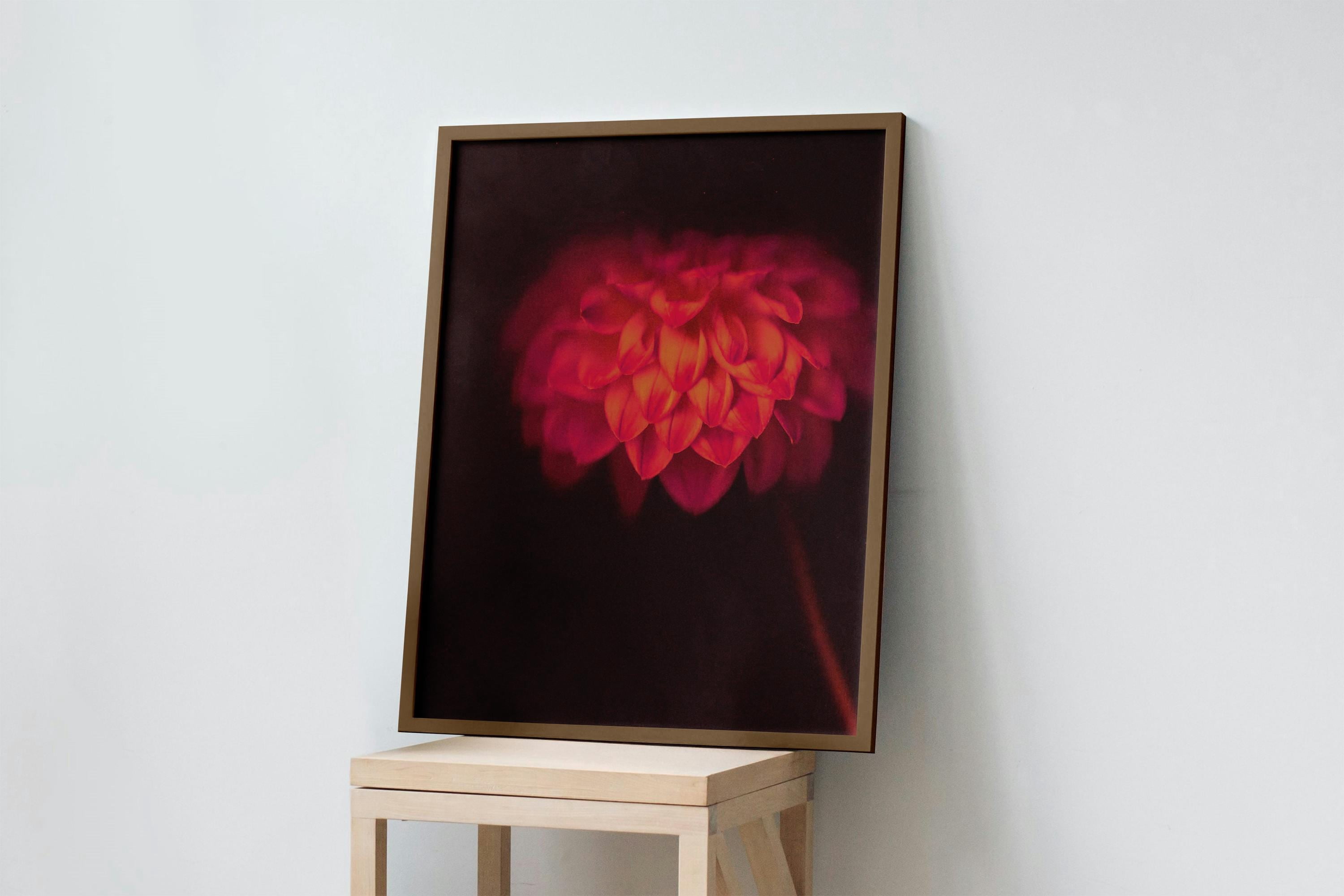 Studio Botanic Botanical Ember Hydrangea Deep Background Studio Art Poster , Poster ...