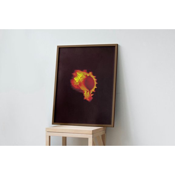 Botanical Ember Murex Shell Glowing Coastal Poster , Poster Print Only