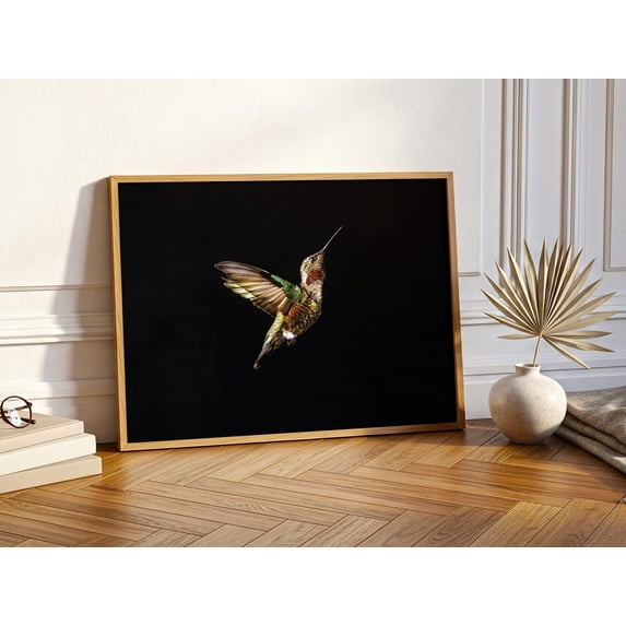 Botanical Exotic Hummingbird Photoart Dark Wildlife Animal Poster ...
