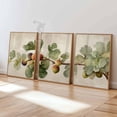 Botanical Fig Tree Fruit Rustic Kitchen Poster, Set 3, Poster Only ...