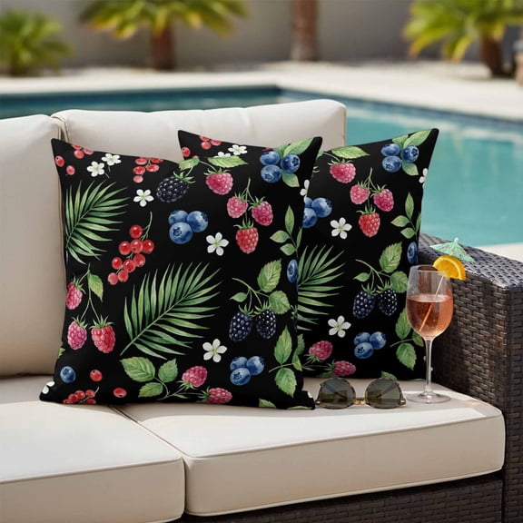Botanical Fruit Outdoor Pillow Covers 24x24 Inch Throw Pillow Covers Set of 2 Waterproof Decorative Pillow Cases Retro Blueberry Raspberry Leaves Black Cushion Covers for Patio Furniture Garden Couch