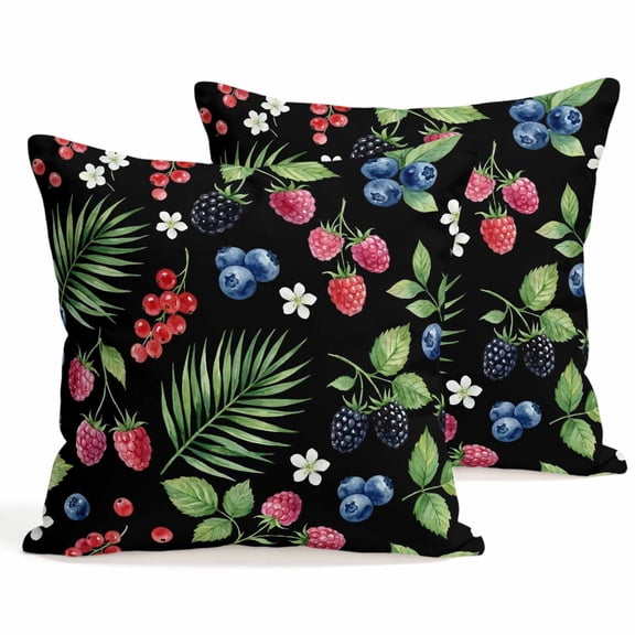 Botanical Fruit Throw Pillow Covers 20 x 20 Inch Pillow Covers Set of 2 Decorative Retro Blueberry Raspberry Leaves Black Cushion Case Square Cotton Linen Pillowcases with Zipper for Couch Sofa Bed