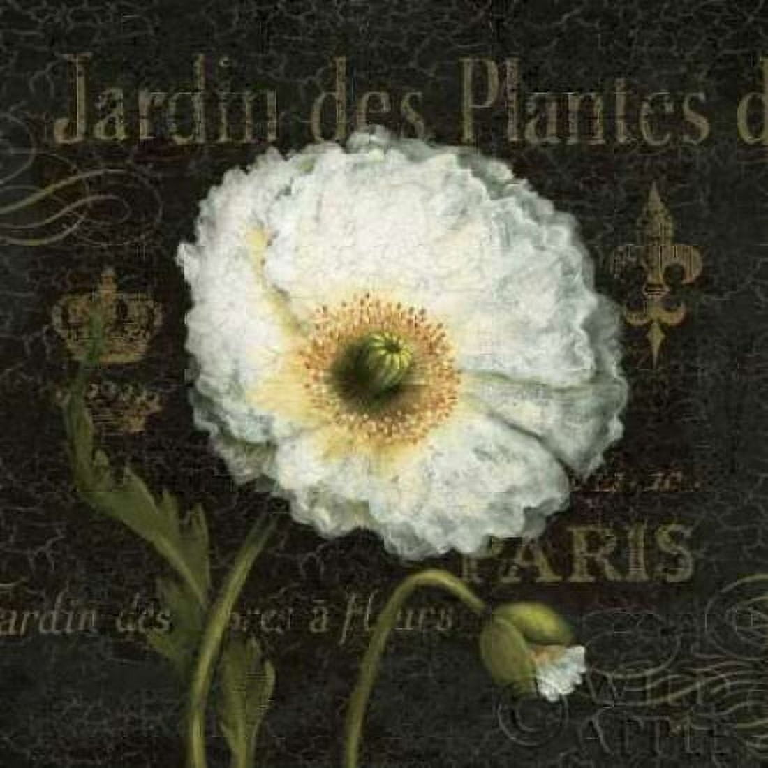 Botanical Garden I Canvas Art - Daphne Brissonnet (24 x 24)