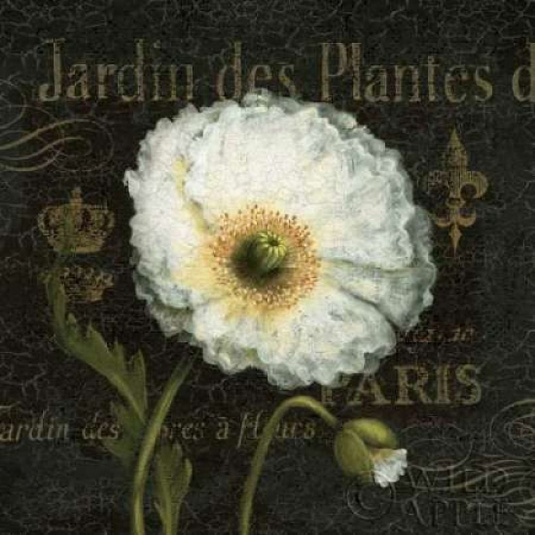 Botanical Garden I Canvas Art - Daphne Brissonnet (24 x 24)