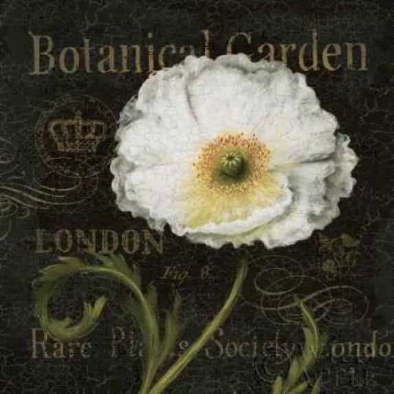 Botanical Garden II Poster Print by Daphne Brissonnet (12 x 12)
