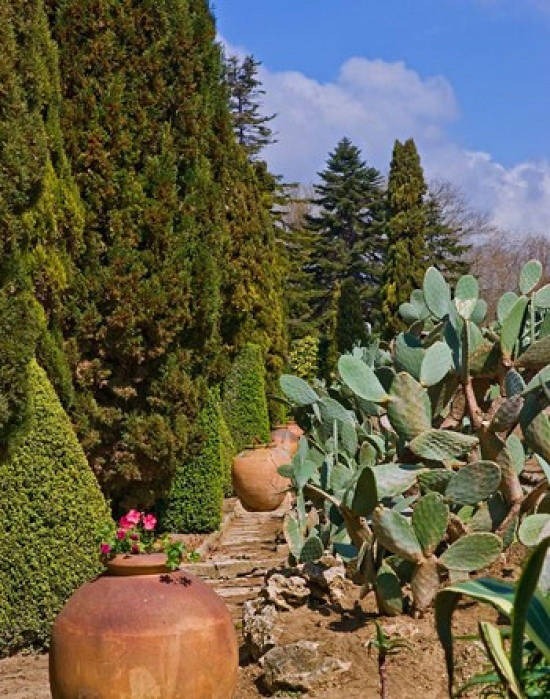 Botanical Garden in Balchik Canvas Art - Joe Restuccia III DanitaDelimont (20 x 26)