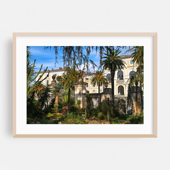 Botanical Garden of Rome 1 - Photography Architecture Tropical Botanical Palm Tree Garden Scenic Oak Framed Wall Art Print 5 x 7 inches