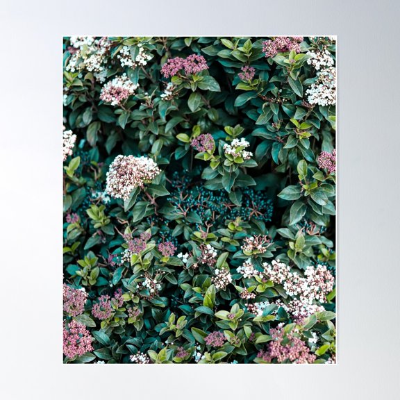 Botanical Gardener Design Shrubs In The Nature Poster Wall Art, Modern Wall Decor For Living Room Bedroom, 24x36 UNFRAMED